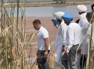 पंजाब: राहुल गांधी ने अमृतसर में बाढ़ प्रभावित इलाकों का दौरा किया